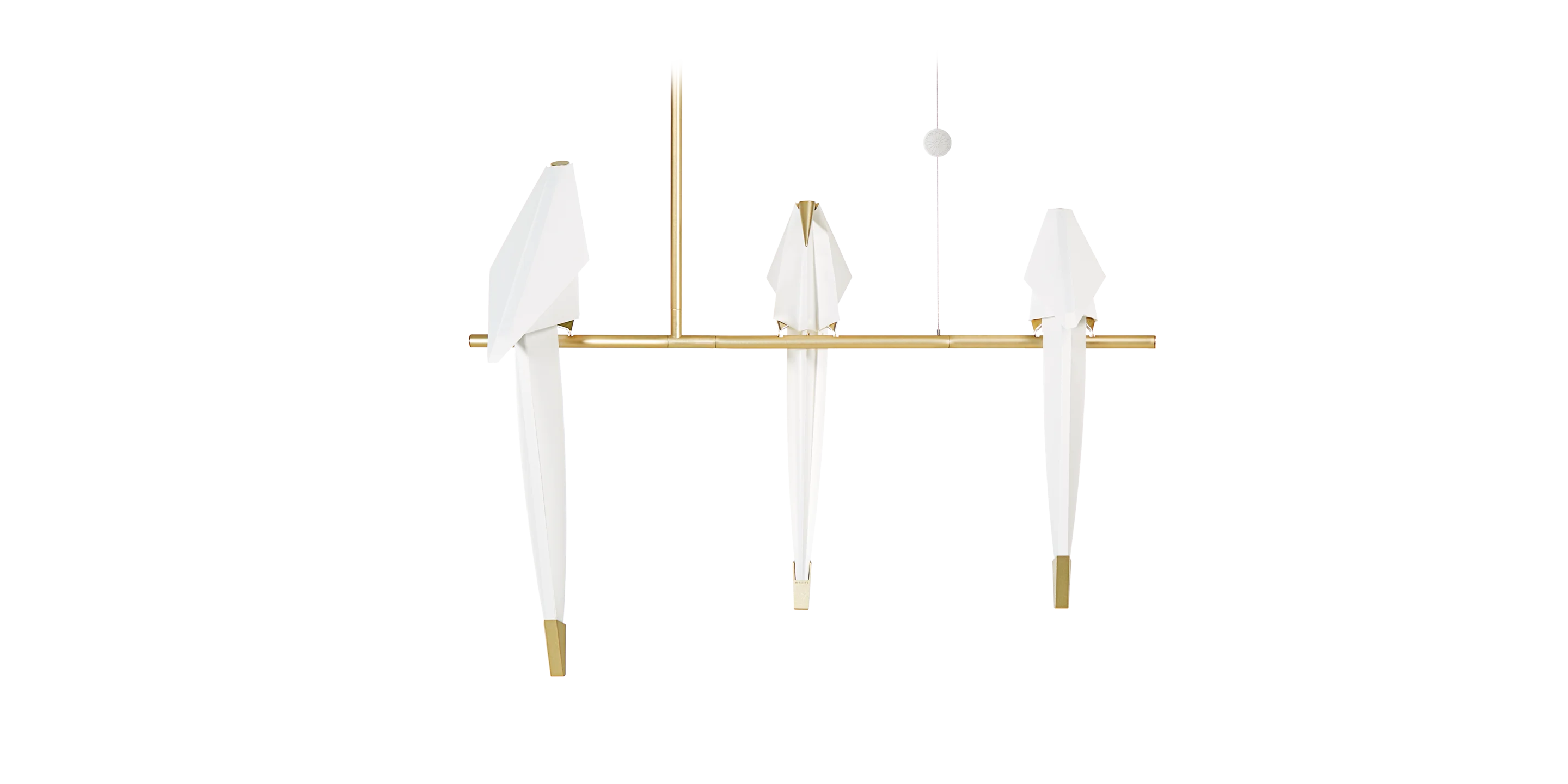 Perch Light Branch front side